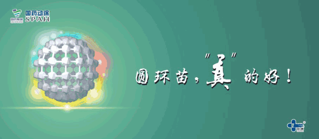 母猪补硒用量(用量母猪补硒好吗)-硒宝网