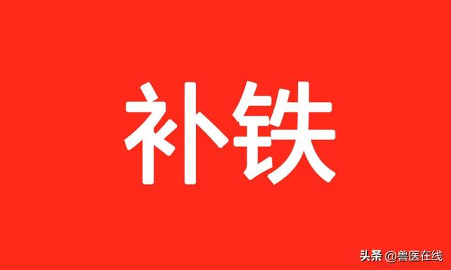 小猪如何补硒（小猪补硒有什么作用）-硒宝网