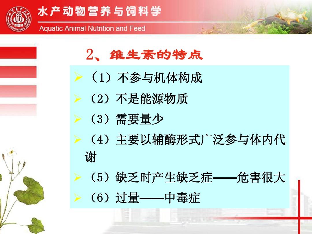 小羊补硒方法（小羊缺硒怎么治）-硒宝网