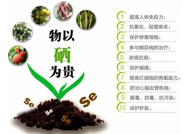 每日补硒上限(每天补充硒的量多少合适)-硒宝网