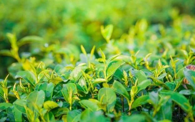 晚上补硒好吗(晚上补硒好吗)-硒宝网