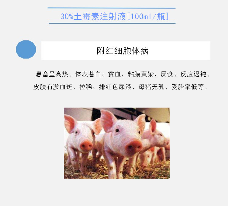 如何补硒仔猪（如何补硒仔猪）-硒宝网