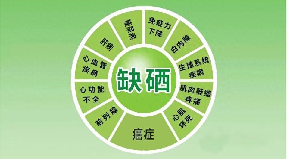 日常补硒标准（每日补硒参考标准不能超过多少）-硒宝网