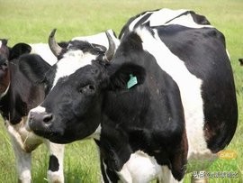 ?？谔阋卟刮ㄅ５每谔阋呶沟闵逗茫?硒宝网