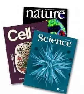 世界补硒主席（5月17日世界补硒日）-硒宝网