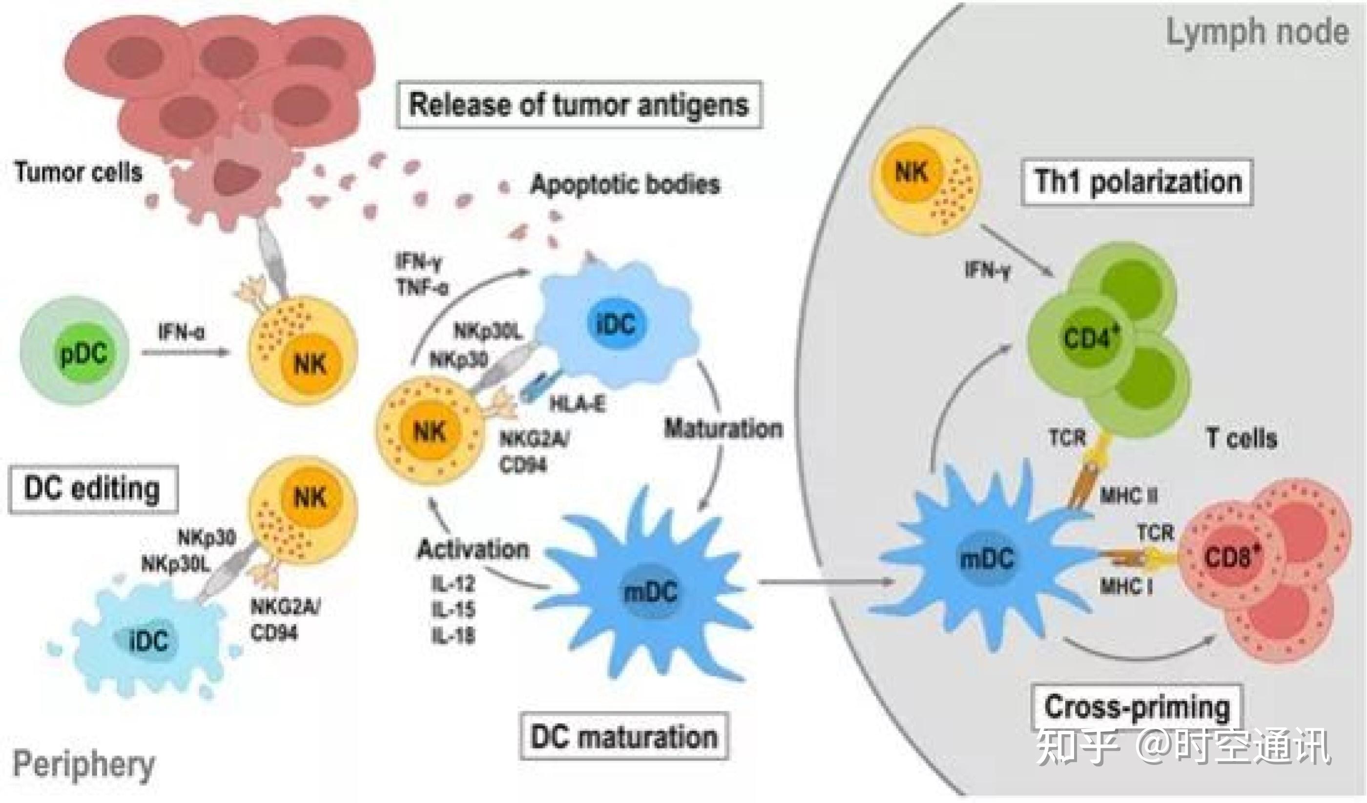 补硒防癌视频（补硒抗癌）-硒宝网