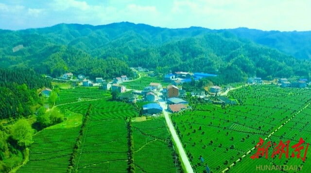 补硒工程会议(三九全民补硒火炬工程)-硒宝网