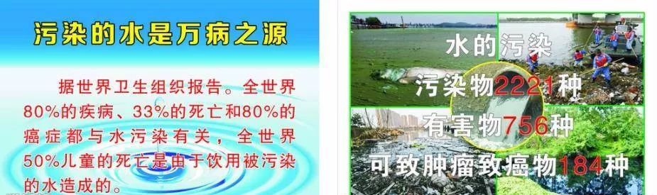 世界补硒主席（世界卫生组织给硒的十大称号）-硒宝网