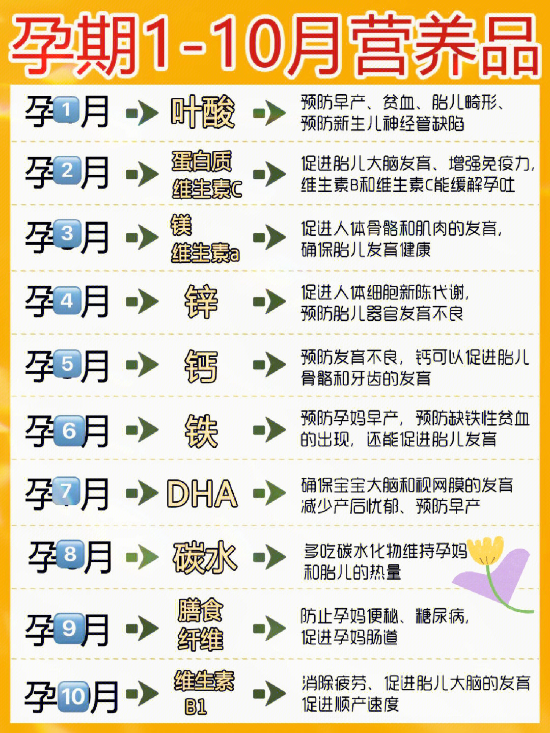 补锌补硒药品(补充锌硒的药)-硒宝网