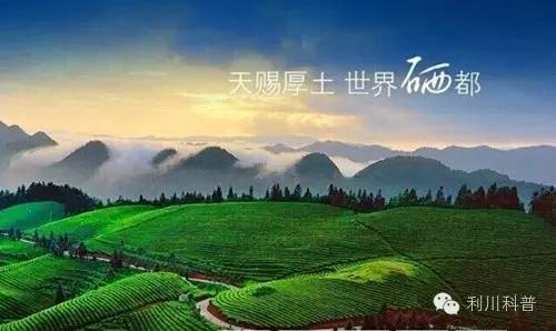 世界补硒主席（世界补硒主席）-硒宝网