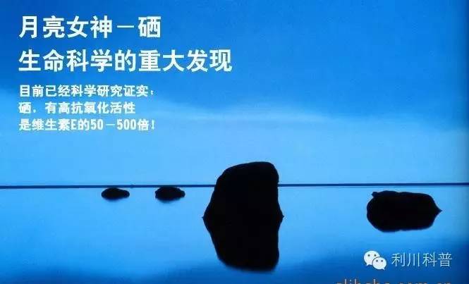 世界补硒主席（世界补硒主席）-硒宝网