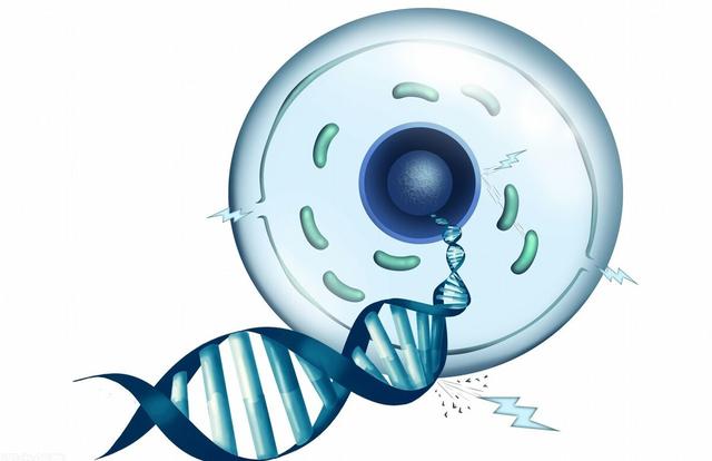 人体补硒元素（人体补元素硒怎么补）-硒宝网