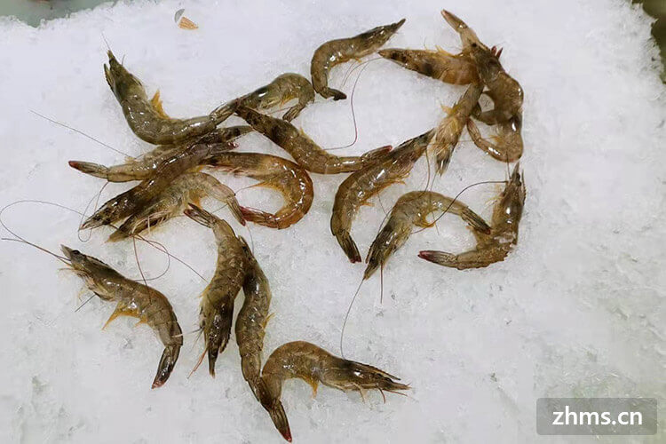 壮阳补什么硒(硒的壮阳作用)-硒宝网