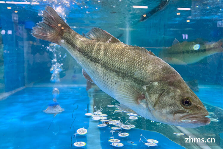 壮阳补什么硒(硒的壮阳作用)-硒宝网