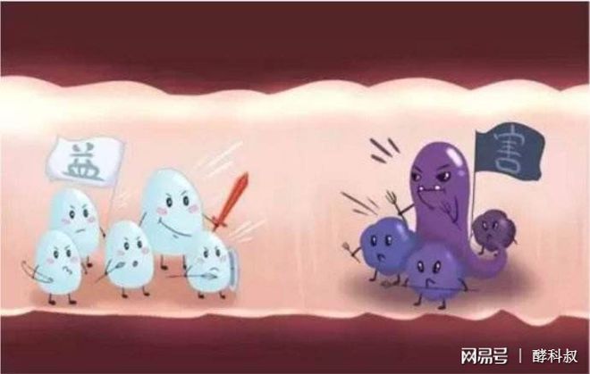 补硒促进睡眠(硒元素促进睡眠)-硒宝网