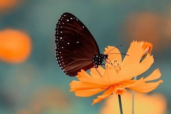 孩子怎样补硒（孩子怎样补硒）-硒宝网