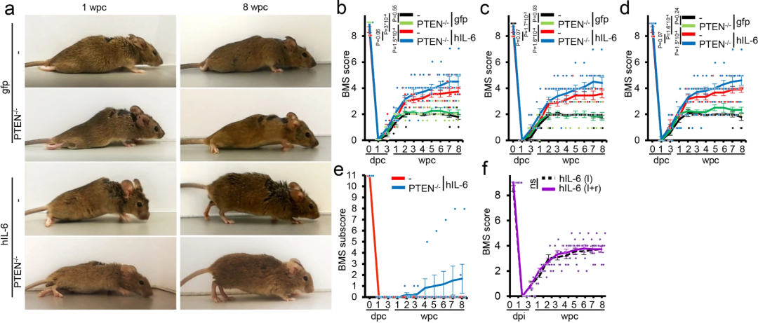 儿童补硒制剂(制剂补儿童硒效果好吗)-硒宝网