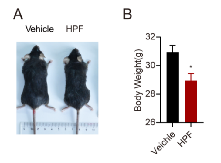 儿童补硒制剂(制剂补儿童硒效果好吗)-硒宝网