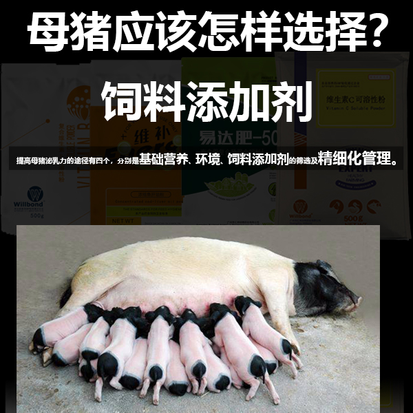 科学补硒问答（科学补硒刻不容缓）-硒宝网