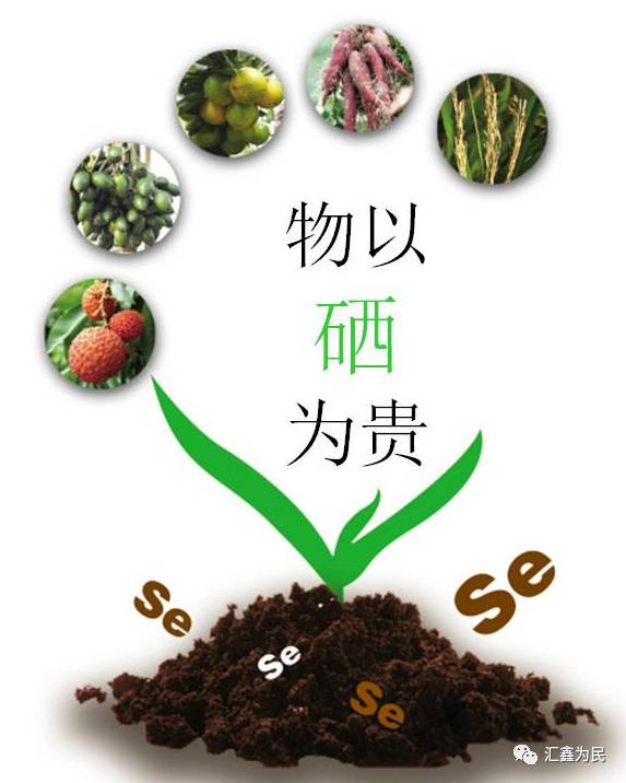 女生补硒好处（女性补硒有什么副作用）-硒宝网