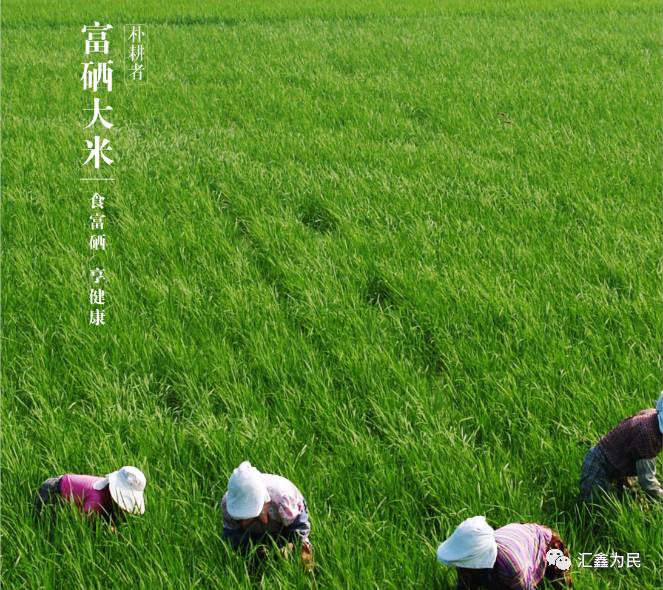 女生补硒好处（女性补硒有什么副作用）-硒宝网