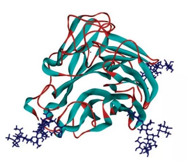 补硒白带异常(硒元素会提高白细胞吗)-硒宝网
