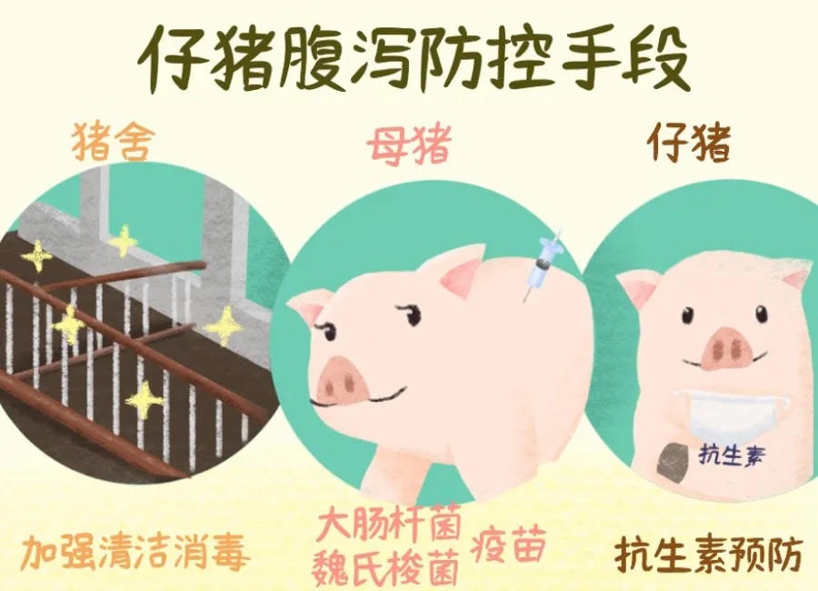 母猪产前补硒(母猪产前补硒)-硒宝网