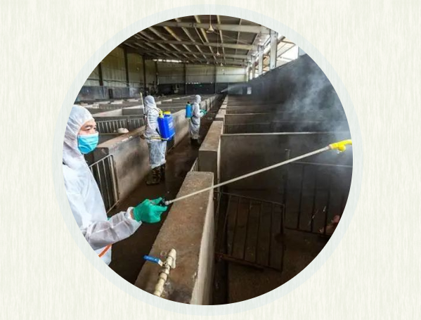 母猪产前补硒(母猪产前补硒)-硒宝网