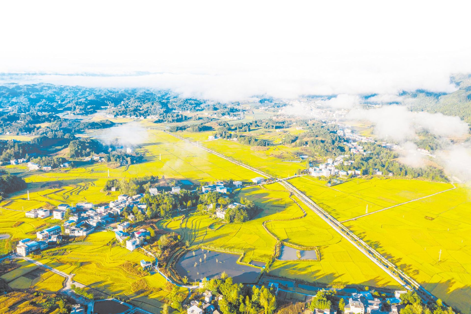 科学补硒问答(科学补硒选择补充什么)-硒宝网