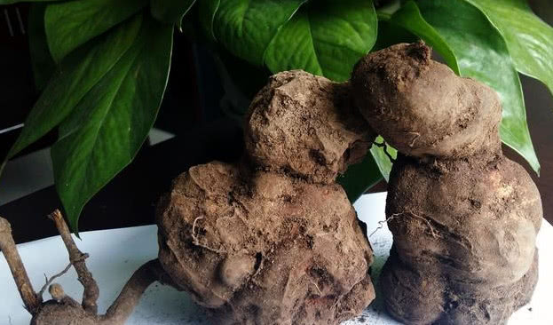 补硒治好痘痘（痘痘补锌有用吗）-硒宝网