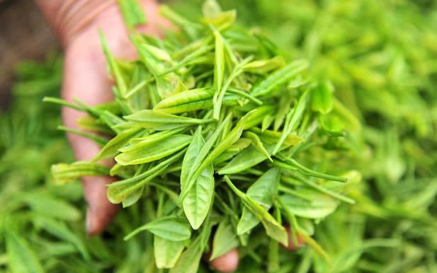 补硒治好痘痘（痘痘补锌有用吗）-硒宝网