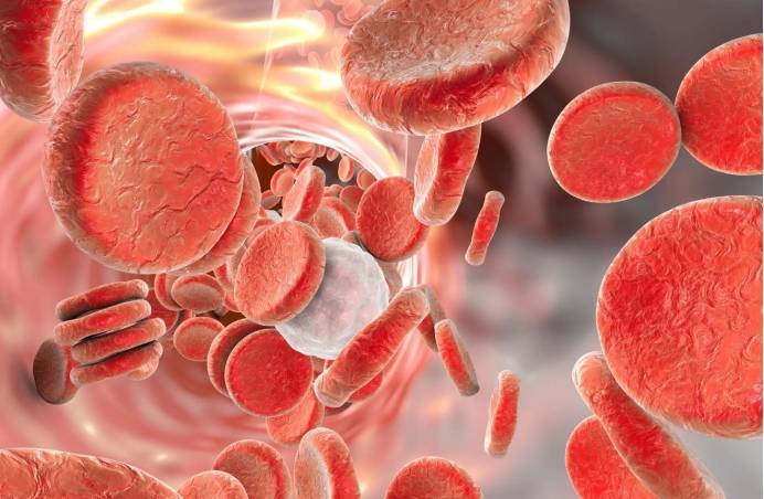 启东乙肝补硒(乙肝补硒)-硒宝网