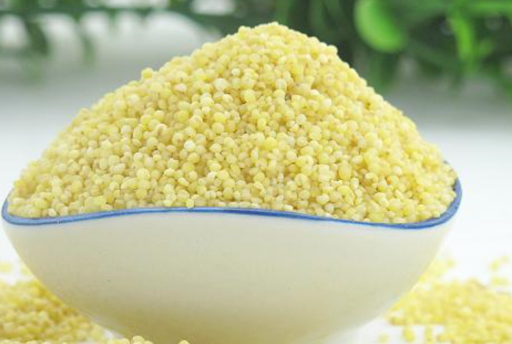 谷子怎样补硒(谷子含硒是怎么回事)-硒宝网