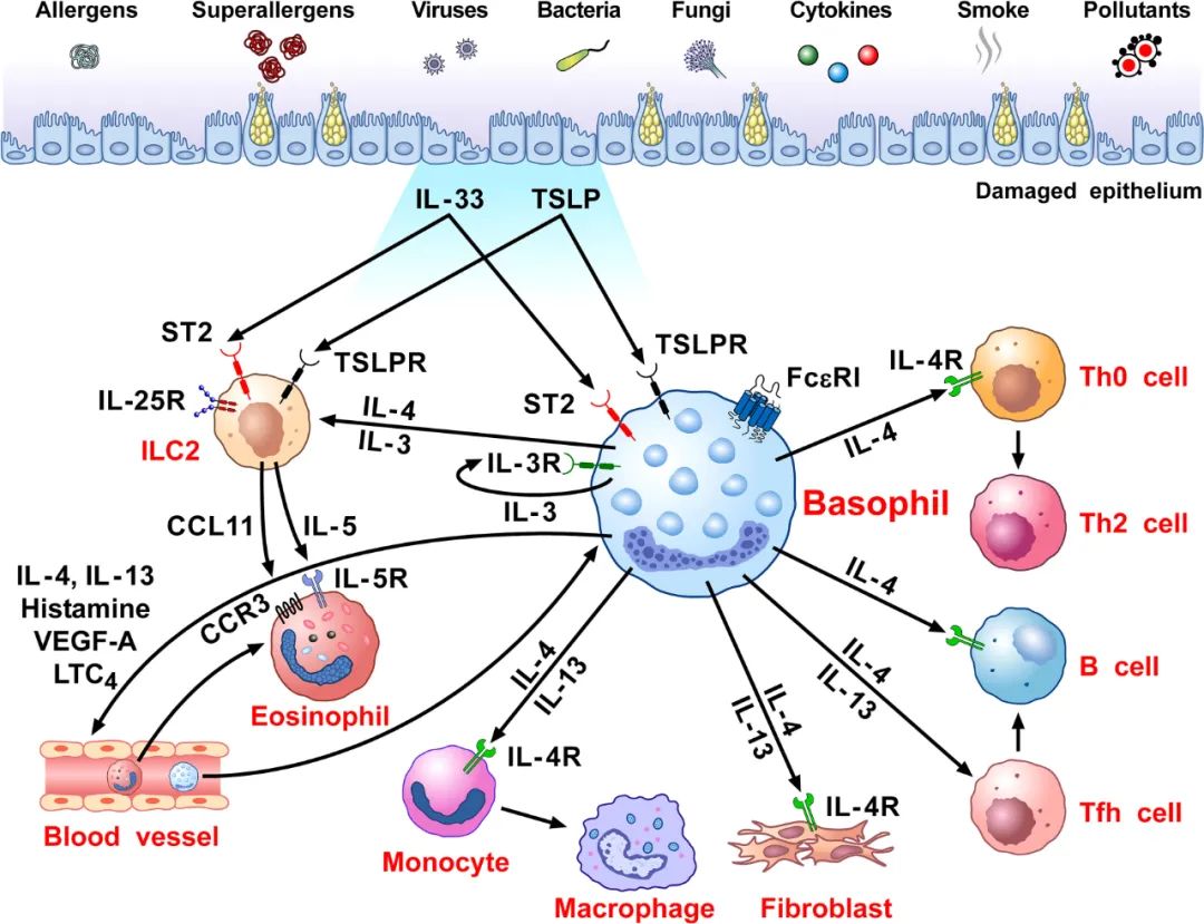 儿童补硒补锌(儿童补硒补锌)-硒宝网
