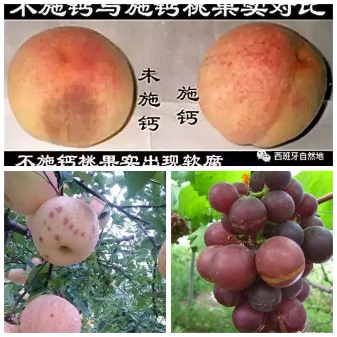 补硒?；ぱ莱荩ㄎ莱荩?硒宝网