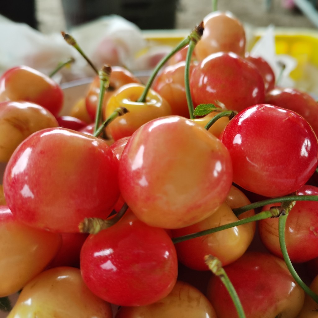 补硒保护牙齿（硒牙齿）-硒宝网