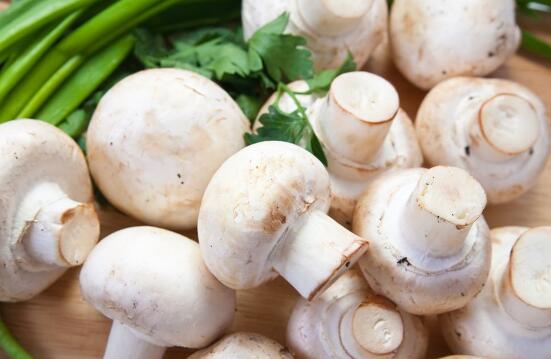 玉米补硒栽培（玉米补硒栽培）-硒宝网