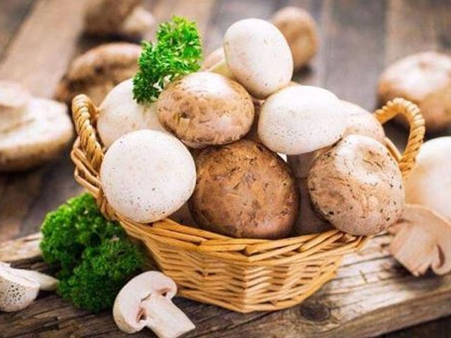 玉米补硒栽培（玉米补硒栽培）-硒宝网