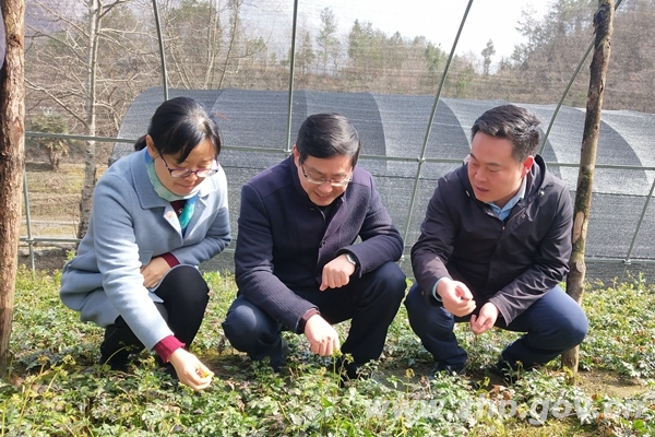 补硒中医医药(补硒中医医药)-硒宝网