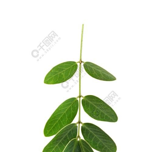 水煮花生补硒(含硒花生米怎么吃)-硒宝网