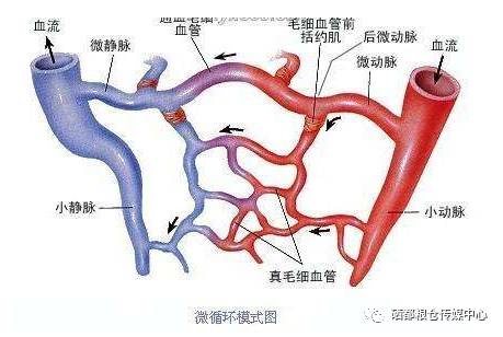 补硒乳腺结节（补硒对乳腺结节有效果吗）-硒宝网