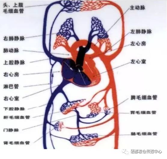 补硒乳腺结节（补硒对乳腺结节有效果吗）-硒宝网