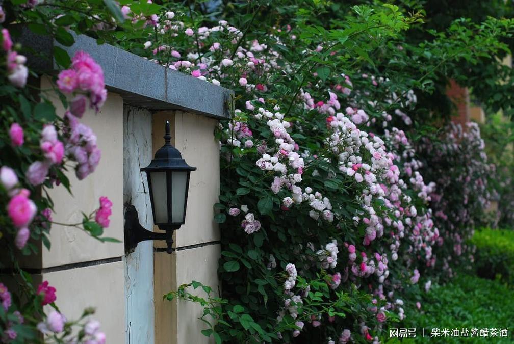 老人补硒好吗(老人补硒的好处)-硒宝网