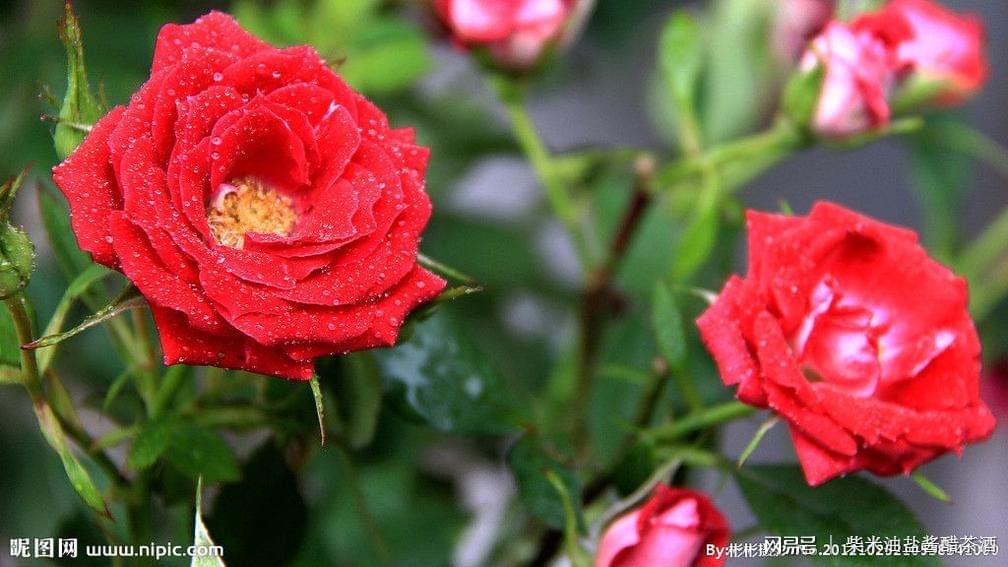 老人补硒好吗(老人补硒的好处)-硒宝网