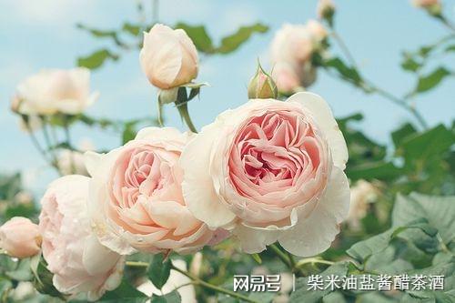 老人补硒好吗(老人补硒的好处)-硒宝网