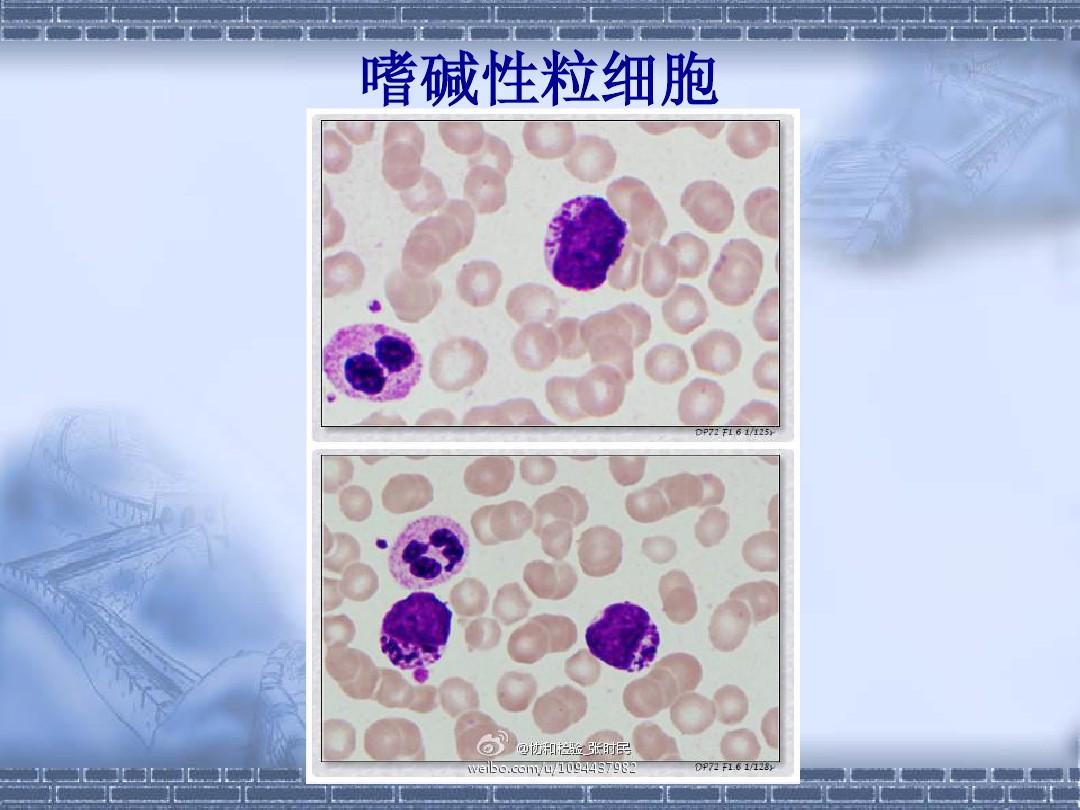 母牛怎么补硒（繁殖母牛怎么补硒）-硒宝网