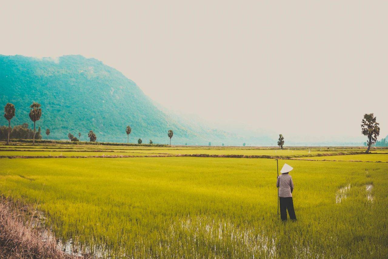 硒补剂nac(补硒的误区)-硒宝网