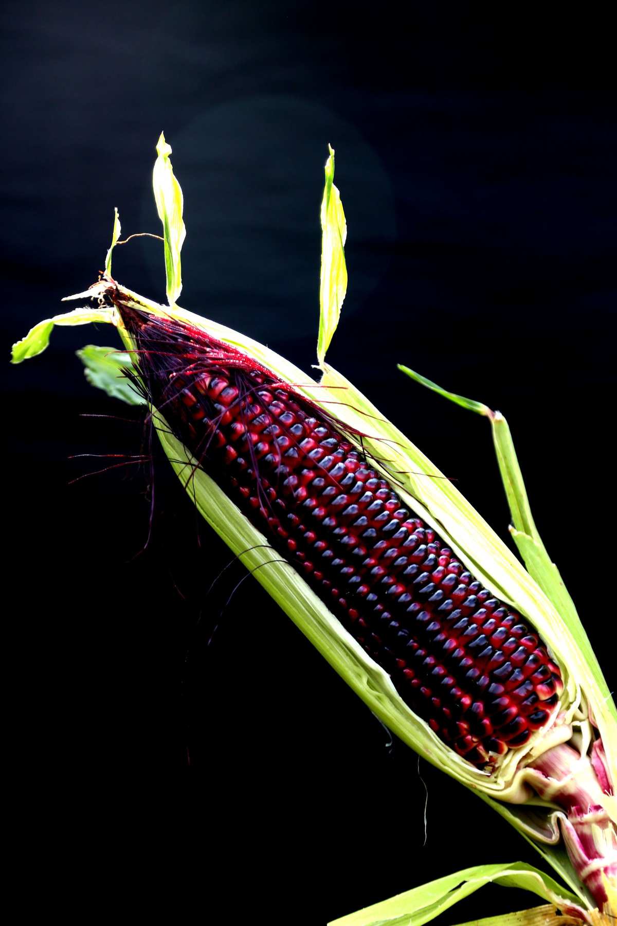 谷子怎样补硒(含硒谷物)-硒宝网