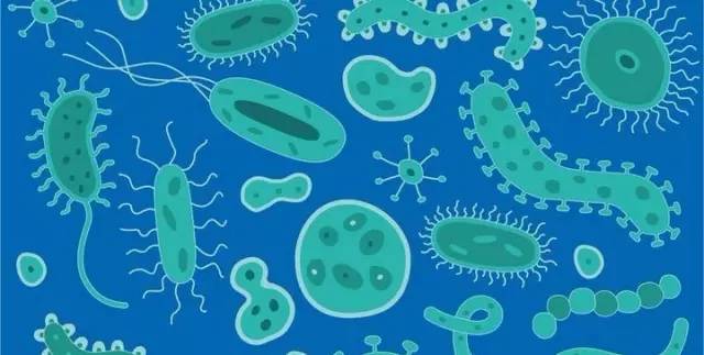 补硒加益生菌（补硒加益生菌）-硒宝网