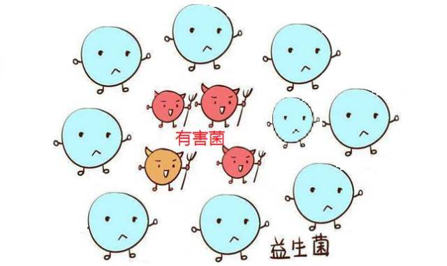 补硒加益生菌（补硒加益生菌）-硒宝网